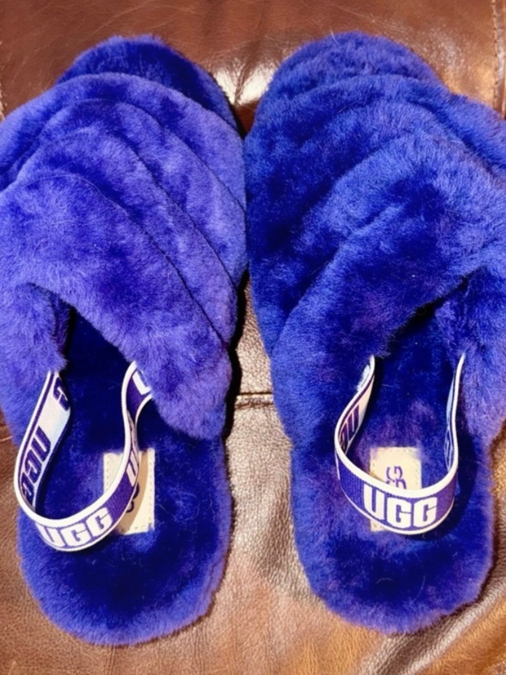 UGG Royal Blue Plush Slide Sandals with Branded Heel Strap